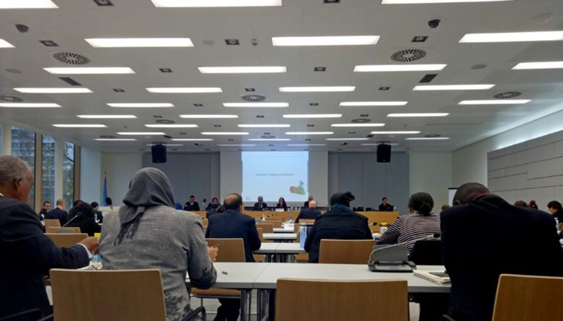 འཛམ་གླིང་མཉམ་འབྲེལ་རྒྱལ་ཚོགས་ཀྱི་གོ་ལའི་ཁོར་ཡུག་ཚོགས་ཆེན་ཐེངས་༢༣ (COP23)ཐོག་བོད་མིའི་སྒྲིག་འཛུགས་ཀྱི་སྐུ་ཚབ་གཉིས་མཉམ་ཞུགས་གནང་བཞིན་པ། པར་དབང་དབུས་བོད་མིའི་སྒྲིག་འཛུགས