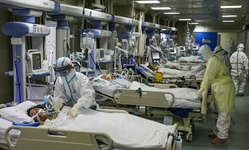 ཏོག་དབྱིབས་གཉན་སྲིན་ཕོག་པའི་ནད་པ། པར། བརྒྱུད་ལམ།