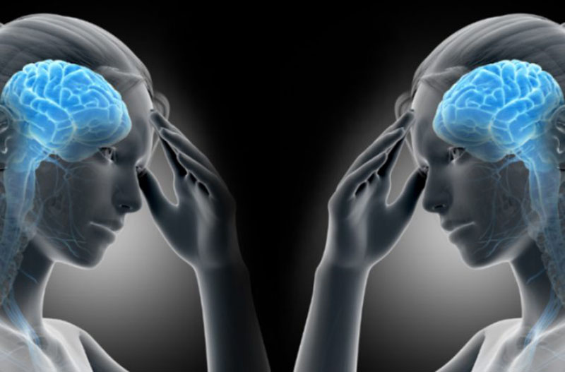 མིའི་ཀླད་པ། པར། བརྒྱུད་ལམ།