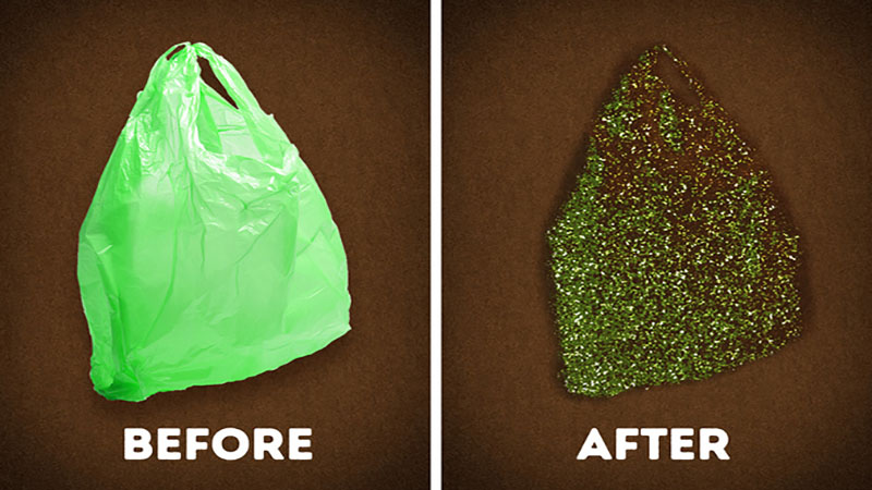 འགྱིག་ཟ་བའི་འབུ་ཡིས་ཟས་བའི་འགྱིག་ཁུག་མའི་ཁྱད་པ། པར། བརྒྱུད་ལམ།