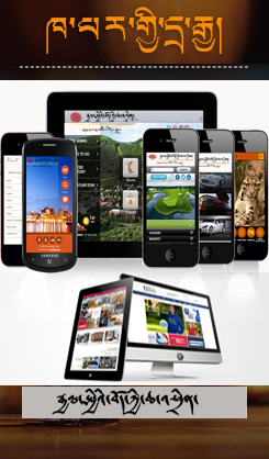 བརྡ་འཕྲིན་དུས་རབས།