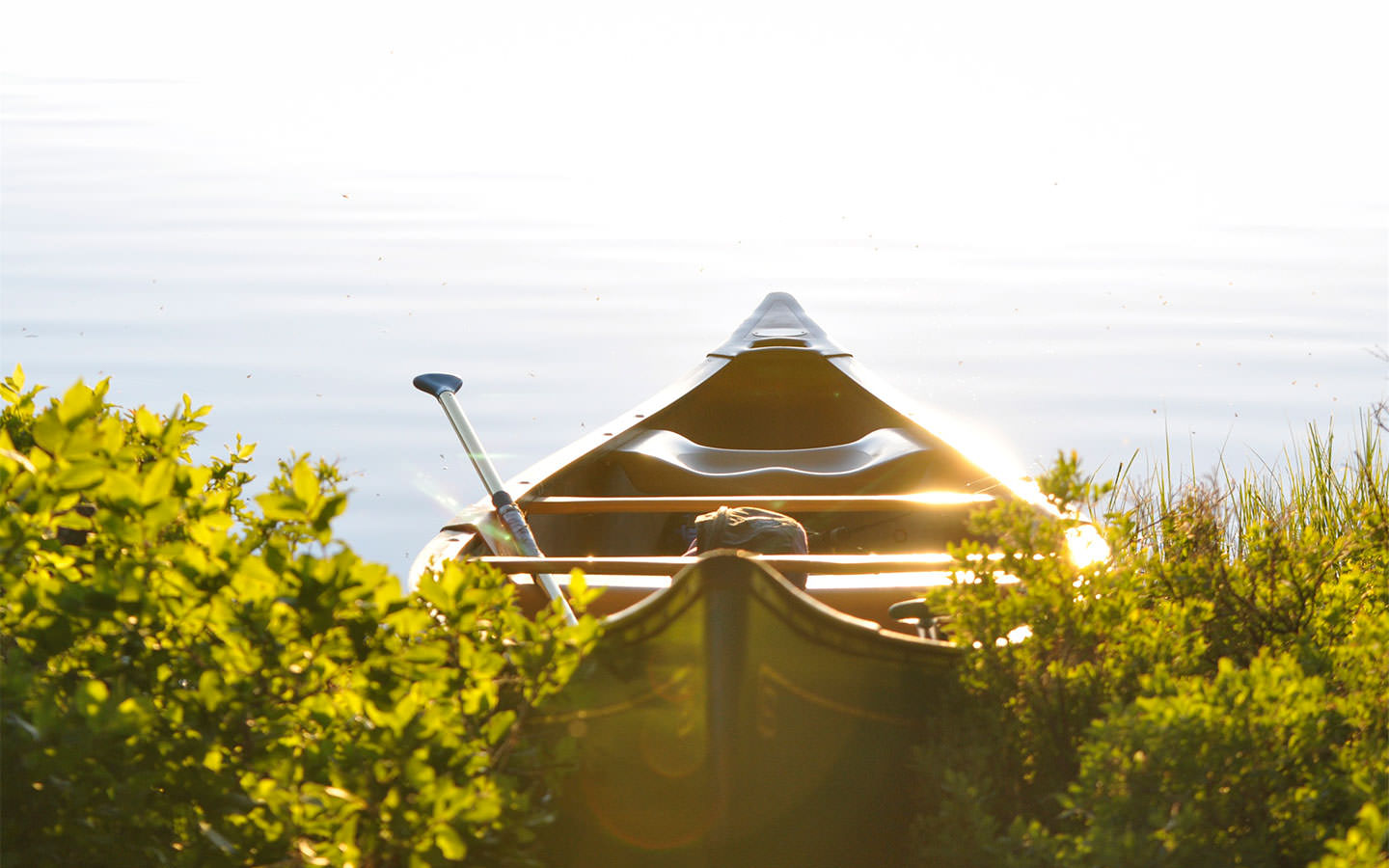 སྐྱེ་དངོས་རང་བཞིན་གྱི་མཛེས་སྡུག་ལྡན་པའི་པར་རིས་ཁག་ཅིག་ལ་གཟིགས།